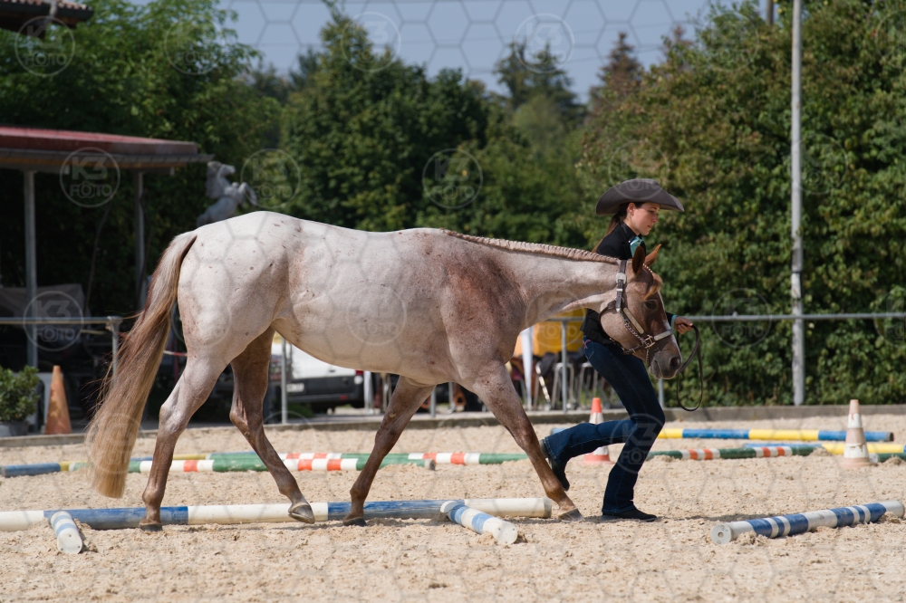 s_batch_A9_00132.jpg